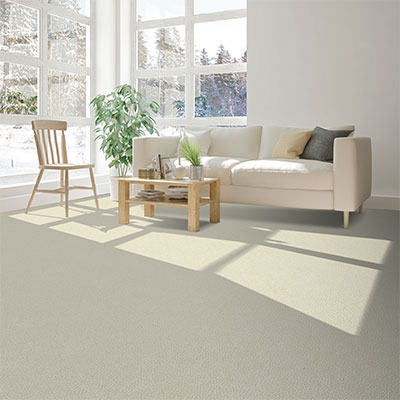 white carpet in living room